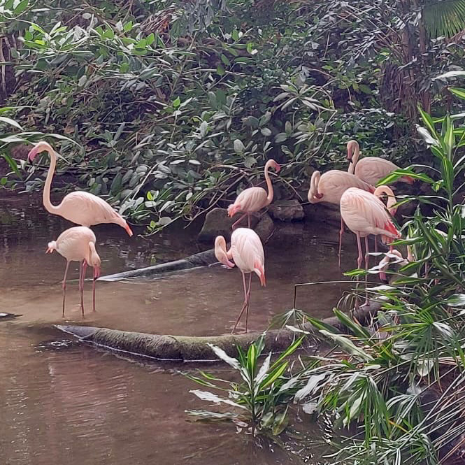 Die Mädchenwohngruppe der Jugendhilfe Collstede  hat einen unvergesslichen Urlaub im Tropical Island erlebt. Foto: Jugendhilfe Collstede